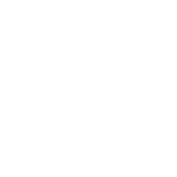 Pixelgrafik einer Lupe, die ein stilisiertes Euro-Symbol vergrößert darstellt.